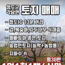 청도부동산공인중개사사무소 이미지
