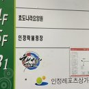 인정프린스(아) 이미지