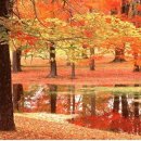 가을 사랑 그리고 이별~ 이미지