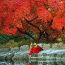 Autumn Hanbok 이미지
