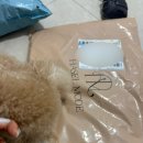모드헤이즐 | [헤이즐모드]브이셔링티 내돈내산 후기 / 기본티추천