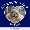언제나동물병원 이미지