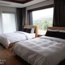호텔펠리시아 | 제주 펠리시아호텔