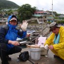 남해복어 이미지