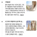 [스페인] 가우디투어 내돈내산 후기(구엘공원, 까사밀라, 사그라다 파밀리아 대성당)