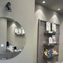 커몽 | 부천 애견미용 잘하는 커몽 솔직후기 🐾 비숑 클리핑+하이바컷