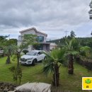 한지 교차로 2 이미지