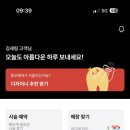 배가헤어 이미지