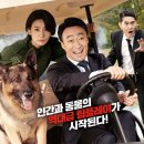 미스터주 티스토리