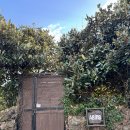 아빈스 | 겨울 제주 귤밭 감성가득한 숙소_아빈스 서귀포 숙소, 남원 숙소, 제주도 감성 숙소 에어비앤비 감성...