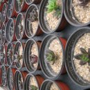 광영 농장 이미지