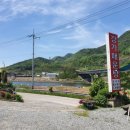 금강매운탕식당 이미지