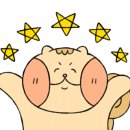 오로라요거트아이스크림 이미지