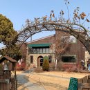 이화로 | 평택 죽백동 카페 이화로256 내돈내산 후기