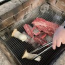 오션1527 이미지