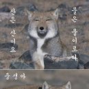 흠
