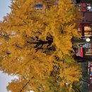 🎭대학로 뮤지컬 관람 이미지