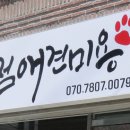 만점애견미용 이미지