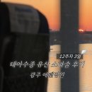 에덴약국 - 천안시 서북구 쌍용대로 293 | 광주에덴병원 태아수종으로 인한 유산 소파술 비용과 후기