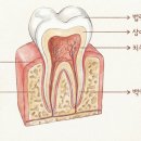 병점수치과의원 이미지