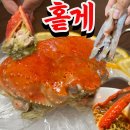 맛들임 | 1마리 9만원 대게 홑게회 솔직 후기 (+홑게 파는곳)