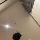 태경프라자 | [김포 구래동 마사지 스카이풋마사지] 데이트코스로 최고였던 커플 아로마 관리 후기