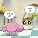 피포파 이미지