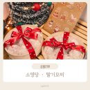 목포제일여자고등학교 | 목포 남악 딸기모찌 소영당 찐 맛집 답례·연말 선물로 딱 좋은 곳