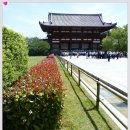 일본혼슈 서부에 있는 오사카 - 고베 -나라 그리고 천년의 수도 교토 여행후기 이미지