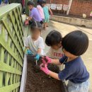 킨더가든어린이집 이미지