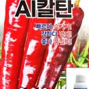 현대종묘농약사 이미지