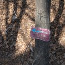 과림동주민센터 이미지