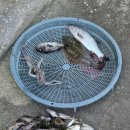 무등펜션 이미지