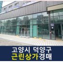 고양제비 이미지