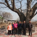 마산2리경로당 이미지