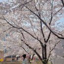 동막골어린이공원 네이버블로그