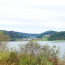 문산태양광발전소 이미지