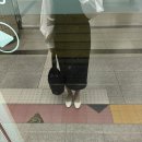 가든하우스 - 마포구 서강로1길 30-2 | 인도네시아 친구의 정원레스토랑 어반가든 하우스웨딩 후기