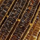 이태연농장 이미지