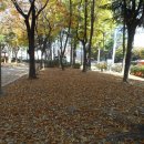 신매근린공원 이미지