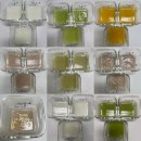 양이야기 | 우베리🍓💜 2026년 3월 이야기 | D+173~203 | 이유식 한 달 후기 🤍 양은 적지만 잘 먹는 중