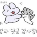 시코드헤어
