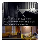 싱싱참치 - 부천시 원미구 | 싱싱참치