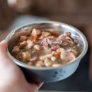 온동물병원 이미지