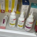 진이네 강아지풀 이미지