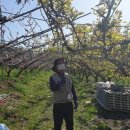 원주시농업기술센터 이미지