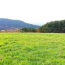 천산무관 이미지