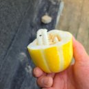 건우 농장 이미지