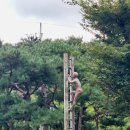 유토피아를 향하여 이미지