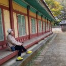 고려인삼쎈타
